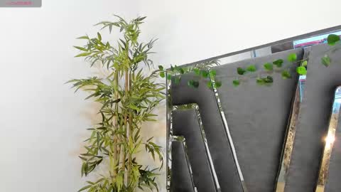 B L A C K  R O S E  online show from February 10, 11:46 am