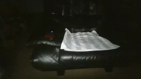 daniel online show from December 20, 6:37 pm