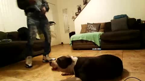 blackriches96 online show from February 15, 10:00 am