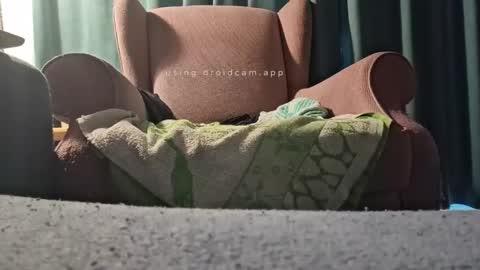 bluealpakka online show from October 19, 5:34 am