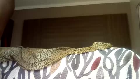 bobbiebone and company online show from September 11, 5:28 am