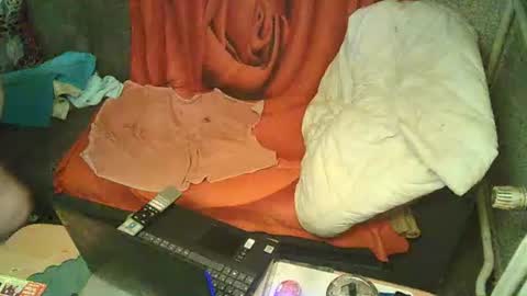 Snapshot of bomber59potsdam chatting on January 6, 9:32 pm Bomber59potsdam online show from January 6, 9:32 pm