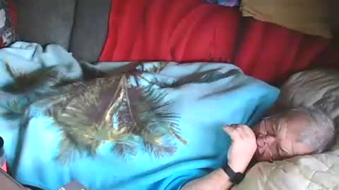 Snapshot of bomber59potsdam chatting on January 28, 10:02 am Bomber59potsdam online show from January 28, 10:02 am