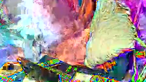 Snapshot of bomber59potsdam chatting on January 8, 6:52 pm Bomber59potsdam online show from January 8, 6:52 pm