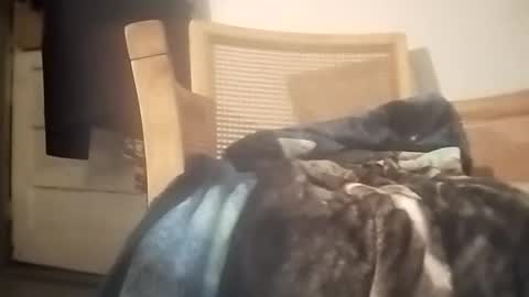 boytowhip online show from October 31, 11:02 am