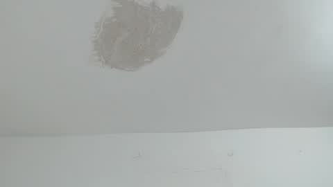 Brant Garcia online show from February 27, 3:55 pm