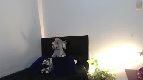 brucestroud online show from January 6, 2:43 pm