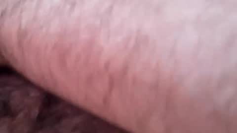 bubblebuttexposed online show from April 6, 1:23 pm