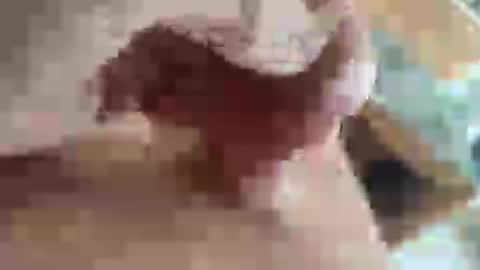 ejaculation for 250 online show from July 15, 2:24 pm