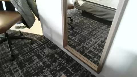 cammyman6900 online show from March 15, 9:21 pm