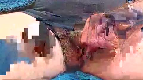 camone554cum online show from November 17, 4:21 pm