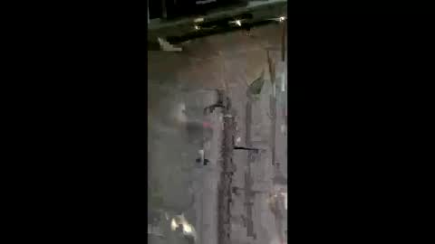 carrilloeverardo219 online show from May 24, 7:14 am