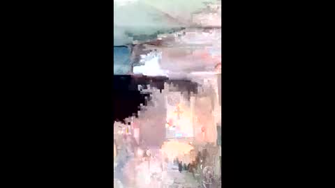 carrilloeverardo219 online show from May 27, 4:48 pm