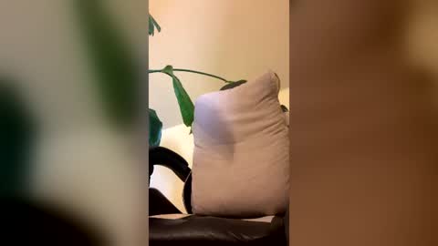 catkris online show from July 1, 8:48 am