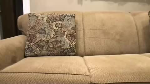 chasemike93 online show from November 1, 5:55 am