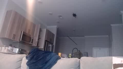 Chef Dev XXX online show from November 19, 3:45 pm