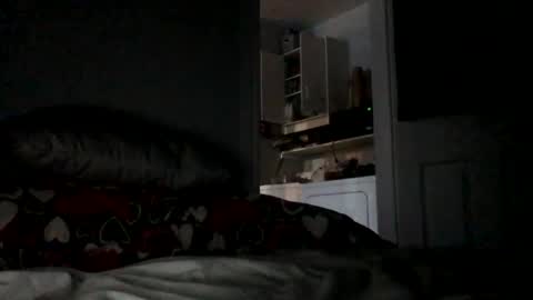 chenovich online show from November 14, 12:17 pm