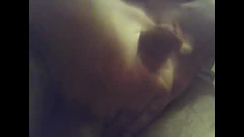 cobra1092 online show from November 23, 5:46 pm