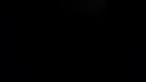 cod_83583466 online show from November 5, 5:31 am