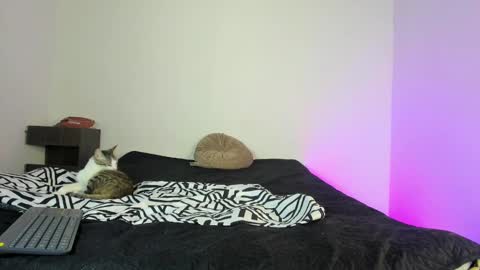 cody online show from November 16, 1:57 pm