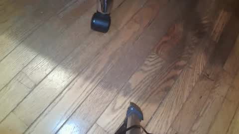 coldfront99 online show from November 14, 8:21 pm