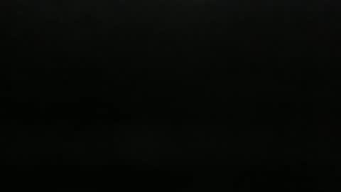 copart84 online show from November 4, 12:01 am