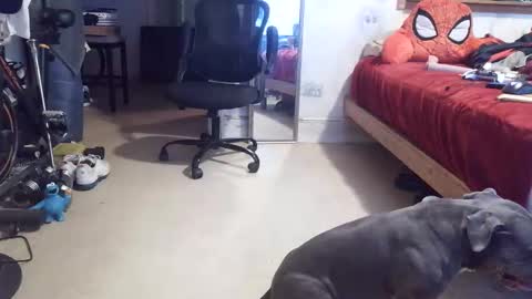 drbucknaked online show from April 16, 11:07 pm