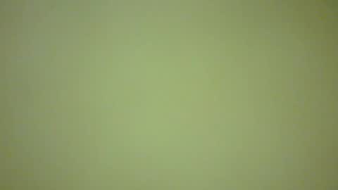 ctbddc online show from February 16, 9:04 am