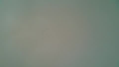 ctbddc online show from February 10, 1:44 pm