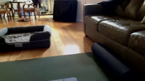 cumfiesta1 online show from December 25, 3:06 pm