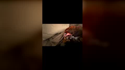 curiouslyalive1 online show from May 4, 1:29 am