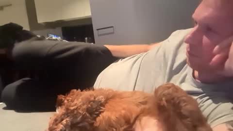 curiousmike6 online show from June 8, 11:11 am