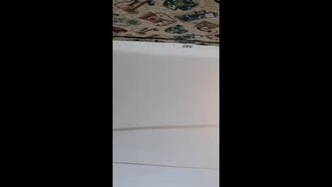 d_skill online show from December 5, 3:52 pm