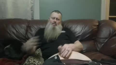 dachshund01 online show from January 17, 12:35 am