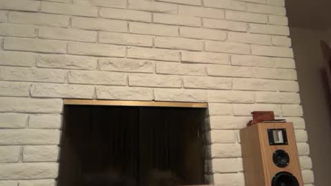 Snapshot of daddy341177 chatting on October 2, 3:54 am daddy341177 online show from October 2, 3:54 am