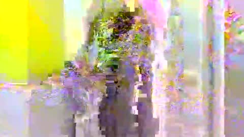 dafo1980 online show from March 4, 10:33 am