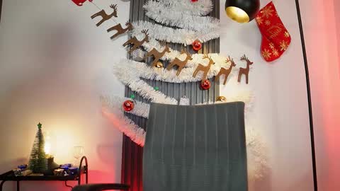 SEBAS online show from November 26, 2:14 am