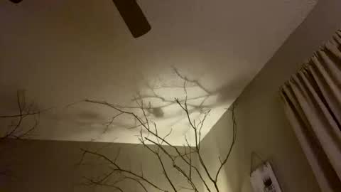 dareme917 online show from February 7, 11:23 am