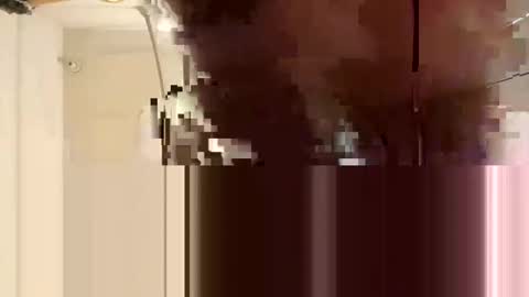 darthdragondick online show from March 21, 2:43 pm