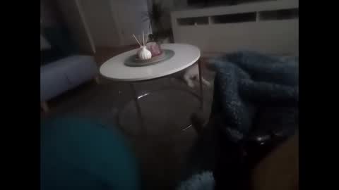 davf76 online show from February 19, 8:11 am