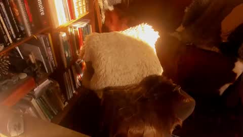 David online show from January 15, 11:10 am