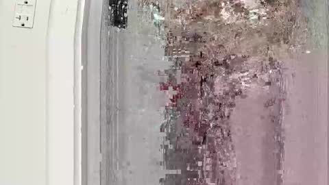 Snapshot of davidr024 chatting on March 6, 7:36 am davidr024 online show from March 6, 7:36 am