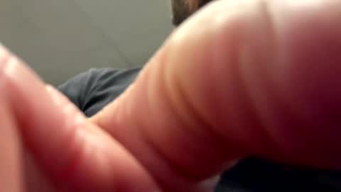 dblum75 online show from November 12, 12:00 pm