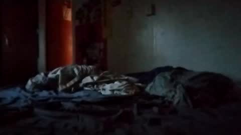 Dan online show from April 1, 11:34 am