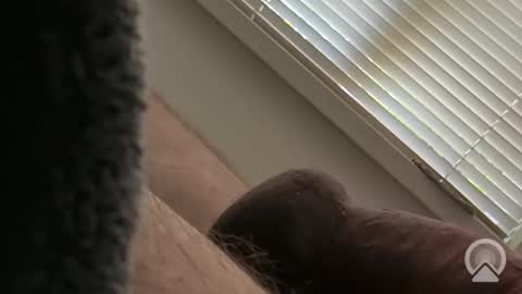 deeperpockets online show from September 13, 7:48 pm