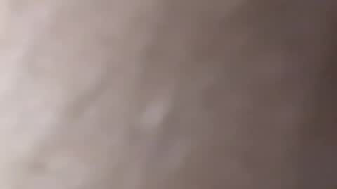 Snapshot of denis647 chatting on February 10, 2:48 pm LilRoach online show from February 10, 2:48 pm