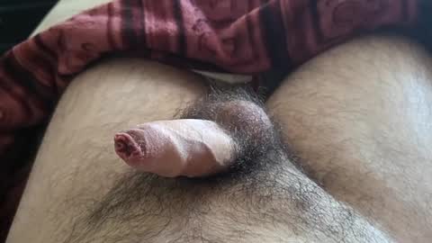 Snapshot of denis647 chatting on October 1, 12:42 pm LilRoach online show from October 1, 12:42 pm