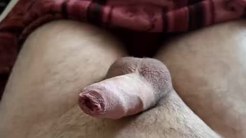 Snapshot of denis647 chatting on October 17, 1:04 pm LilRoach online show from October 17, 1:04 pm