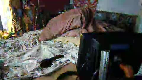 derick1961 online show from February 8, 9:37 am