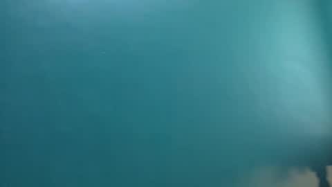 desiguylund online show from November 23, 9:42 am